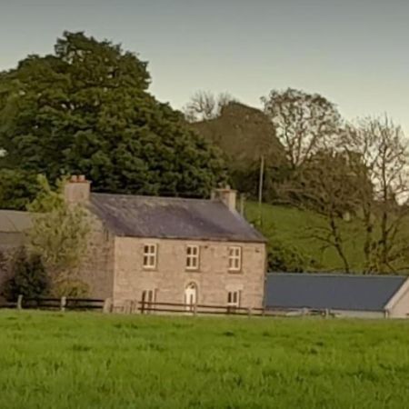 The Hollow Tullow Bagian luar foto