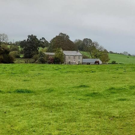 The Hollow Tullow Bagian luar foto