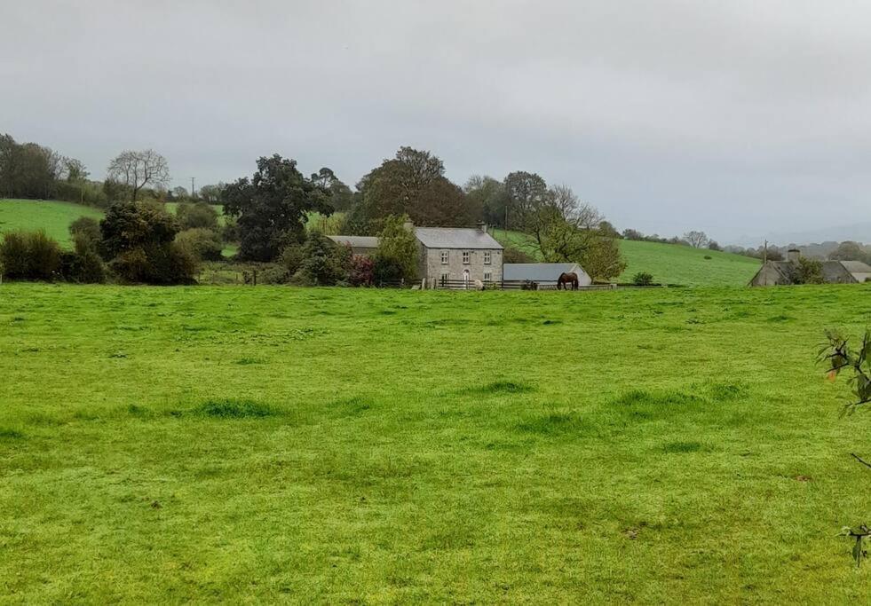 The Hollow Tullow Bagian luar foto