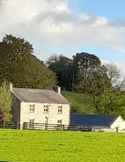The Hollow Tullow Bagian luar foto